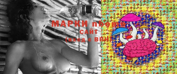 прущие грибы Арсеньев