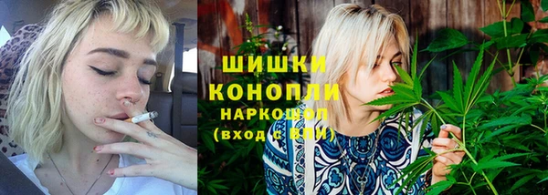прущие грибы Арсеньев