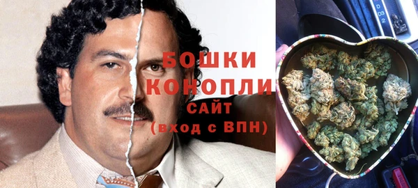 прущие грибы Арсеньев