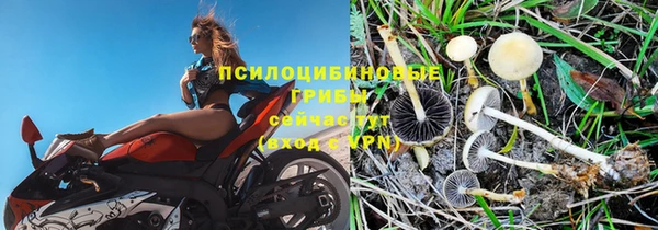 гашик Армянск