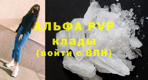 прущие грибы Арсеньев